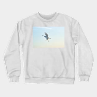 Hovering California gull Crewneck Sweatshirt